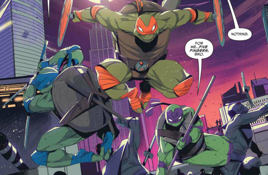 power rangers ninja turtles